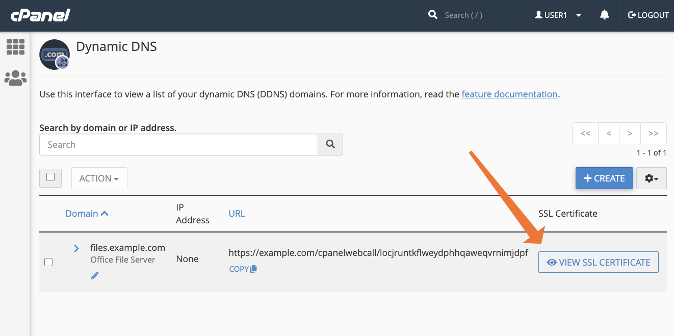 cPanel Dynamic DNS View SSL