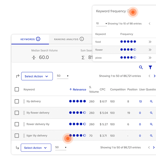 cPanel XOVINOW SEO Features: KeyWord Researcher