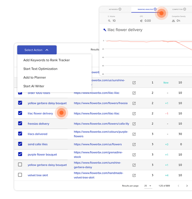 cPanel XOVINOW SEO Features: Rankings